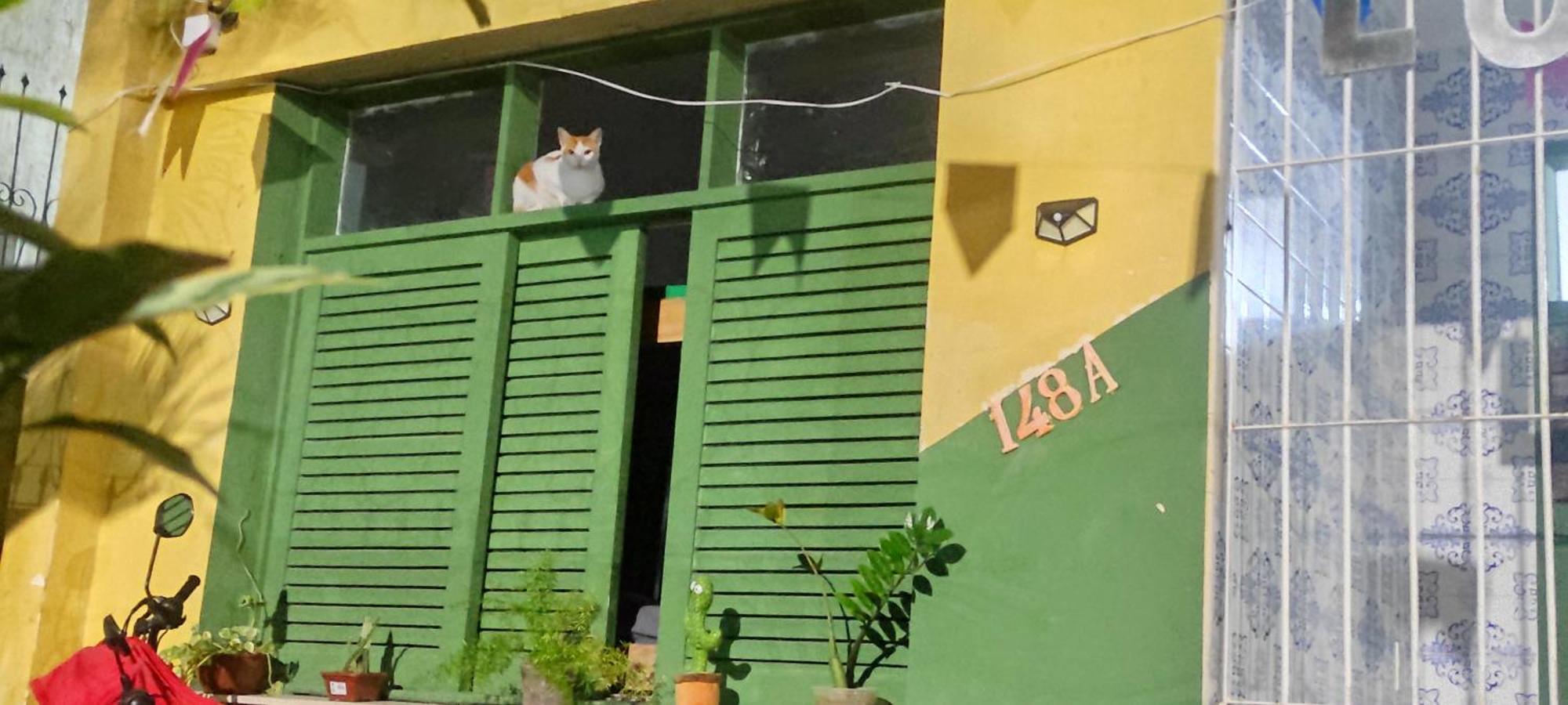 Lord Hostel Salvador Esterno foto